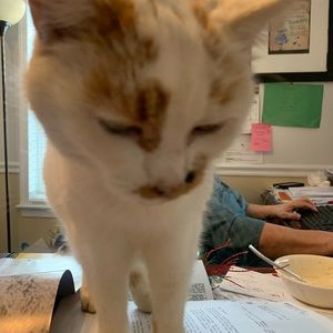 Meet your Posher, Alice